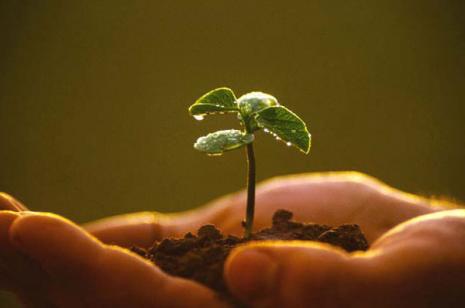 agroecologia-unica-esperanza-para-la-soberania-alimentaria-y-la-resiliencia-socioecologica_article_full_l