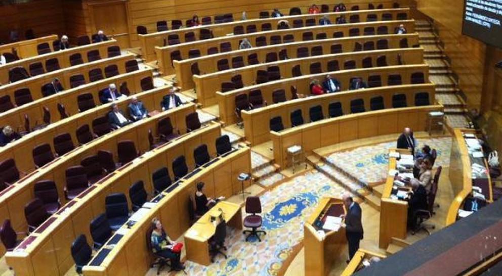 el-pleno-del-senado-durante-la-jornada-de-ayer-margaritazabala